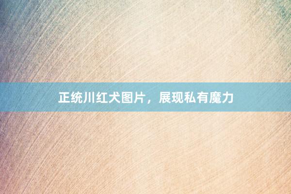 正统川红犬图片,展现私有魔力