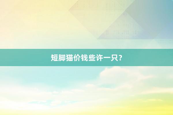 短脚猫价钱些许一只？